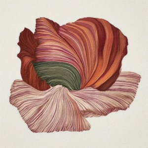 Colorful Organic Bloom