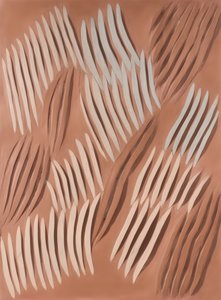 Earthy Organic Shapes