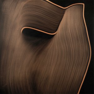 Flowing Bronze Curves