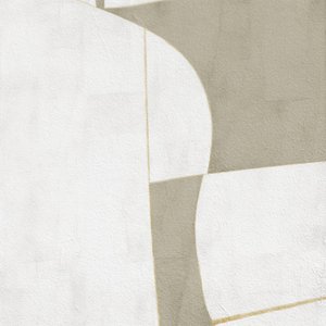 Minimal Curves And Shadows