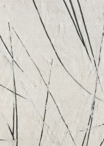 Organic Lines Texture