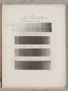 Art of the Lithograph: Toning Samples, Plate XVI