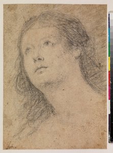 Head of a woman gazing up by Alonso Miguel de Tovar