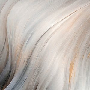 Soft Flowing Feathers by Alpenglow Workshop
