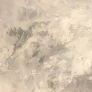 Soft Neutral Flow