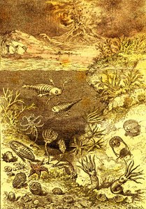 Prehistory-End of the Silurian Period: Natural Creation and Living Beings (J. Rengade) Drawing by A. Demarle 1885