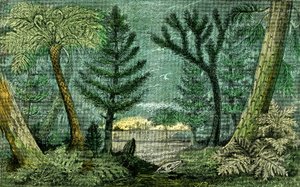 Prehistory, period of coal: Marecage and drill of the coal period