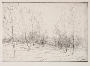 Avenue of Poplars by Alphonse Legros