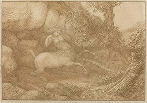 Centaur Woman