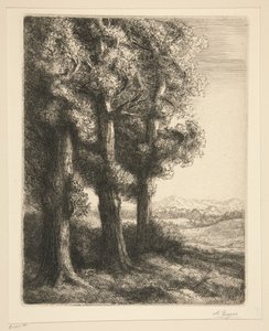 A Corner of a Wood by Alphonse Legros