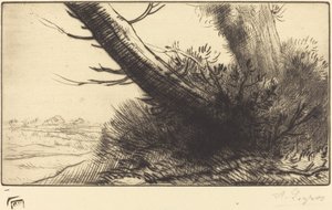Corner of a Path by Alphonse Legros