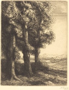 Corner of a Wood by Alphonse Legros