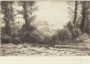 Edge of a Wood