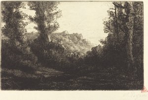 Edge of a Wood (Lisiere de bois) by Alphonse Legros
