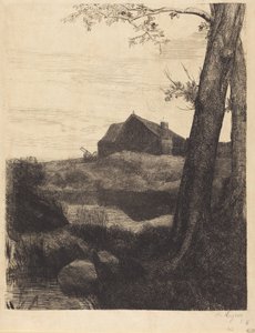 Farm with Large Tree