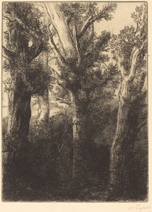 German Forest, Downley