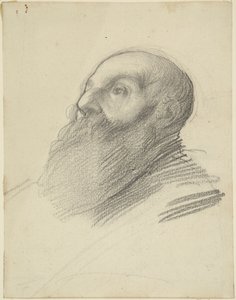 Head of Bearded Man