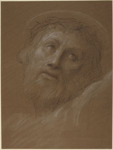 Head of Christ Crowned with Thorns