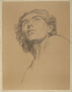 Head of Youth Looking Up