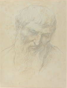 Head of a Man with Curly Hair and Beard