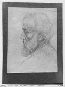 Head of an old man with long hair