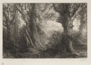 In the Forest at Conteville