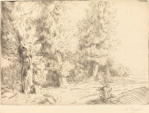 In the Forest of Fontainebleau