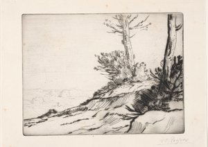The Bushy Hill by Alphonse Legros