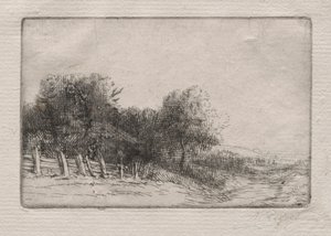 Landscape (A Landscape)