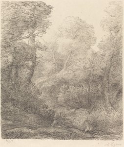 Landscape: Morning Mist