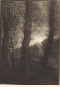 Large Trees Seen Against the Sun by Alphonse Legros