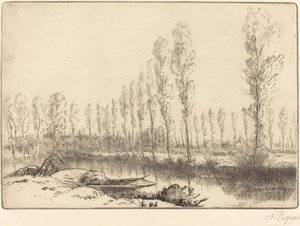 Poplars near Amiens by Alphonse Legros