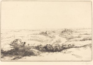 Prospect