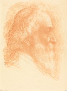 Self-Portrait, 10th plate