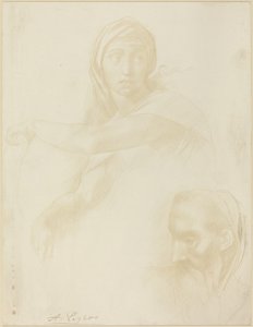 Study of Delphic Sibyl, Head of a Man