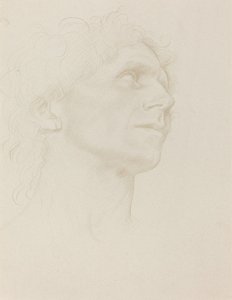 Study of Woman