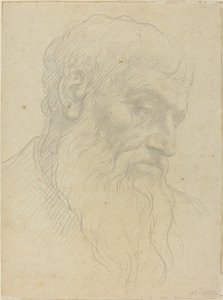 Study of a Head