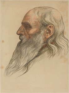 Study of a Man