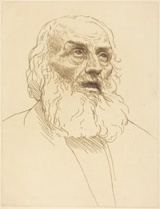 Study of an Old Man