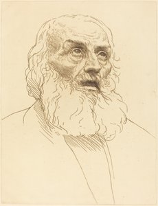 Study of an Old Man