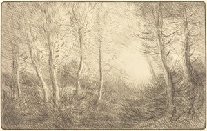 Sunrise, Woods of Clamard