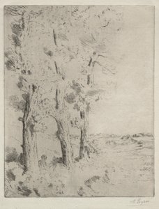The Reader: The Lecture under the Trees