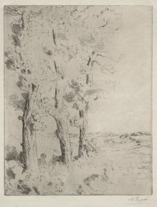 The Reader: The Lecture Under the Trees