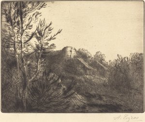 View of a Farm