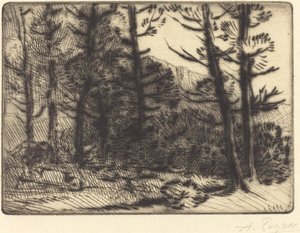 Woods in Winter Sun, 2nd Plate