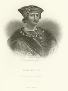 Charles VIII by Alphonse Marie de Neuville