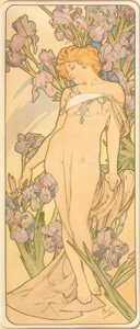 The Iris