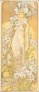 The Lily