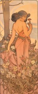The Carnation