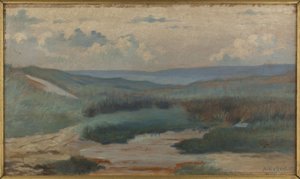 A Pond in the Dunes at Night, Siouville